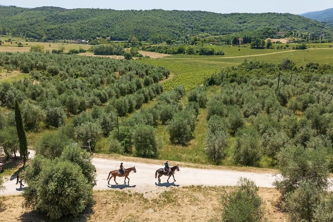 Horseback Riding in the Vineyards - Getting there from Florence (and why location helps)
