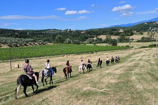 Horseback Riding in the Vineyards - Vineyard rows, olive groves, and cypress-framed views