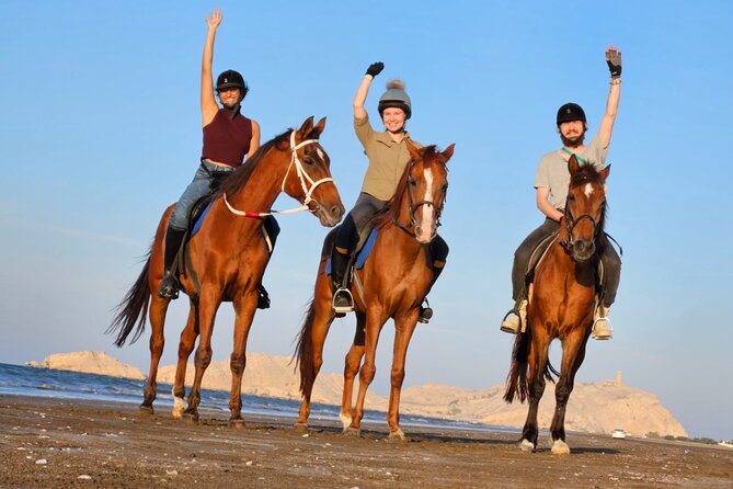 Horseback Riding Muscat Beach - Why Al Sawadi Beach Horseback Riding Feels Special in Muscat