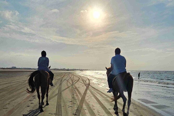 Horseback Riding Muscat Beach - Before You Mount: What the Setup Is Like