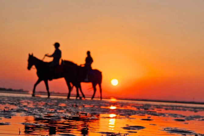 Horseback Riding Muscat Beach - Price of $76.66 for 1 Hour: Is It Worth It?