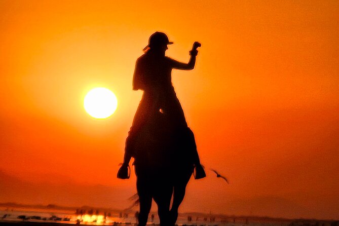 Horseback Riding Muscat Beach - When to Go: Sunrise or Sunset in the 6:00 AM to 6:30 PM Window