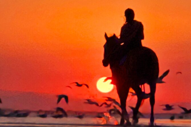 Horseback Riding Muscat Beach - Getting There: Where the Ride Starts in Barka