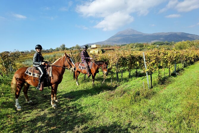 Horseback Riding on Mt. Vesuvius with Wine Tasting and Dinner - Key Highlights You’ll Care About