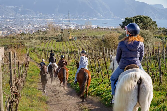 Horseback Riding on Mt. Vesuvius with Wine Tasting and Dinner - From Pompeii to Vesuvius: The Real-World Setup