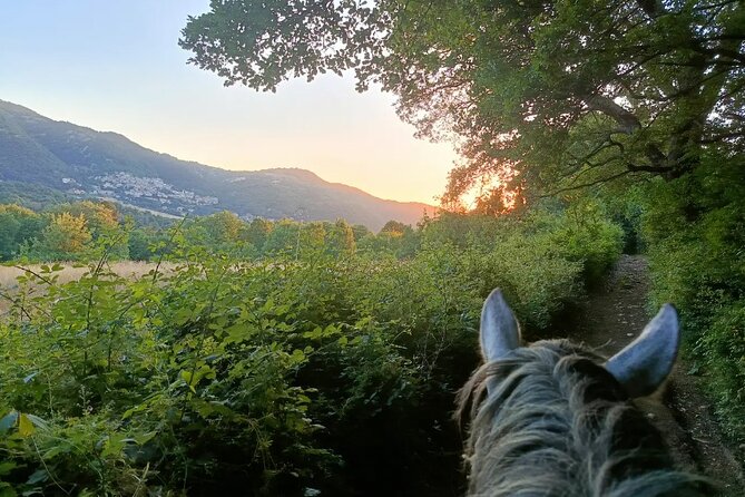 Horseback Riding on Mt. Vesuvius with Wine Tasting and Dinner - Guide and Staff: Small Touches That Make It Go Smooth