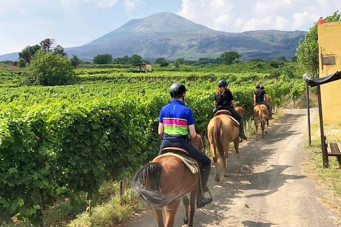 Horseback Riding on Mt. Vesuvius with Wine Tasting and Dinner - Timing, Weather, and Weather-Backups (Keep It Simple)