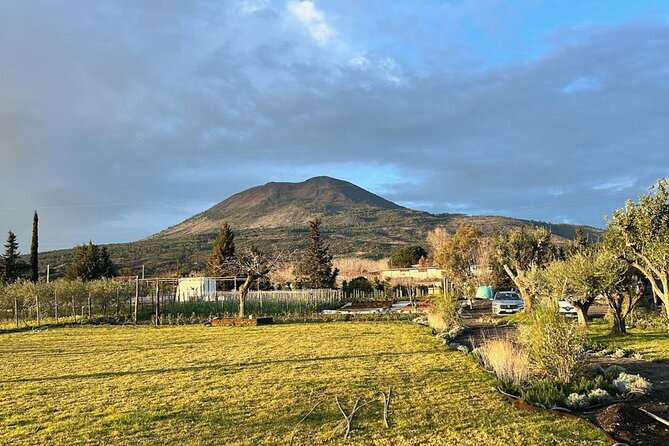 Horseback Riding on Mt. Vesuvius with Wine Tasting and Dinner - Who This Tour Suits Best