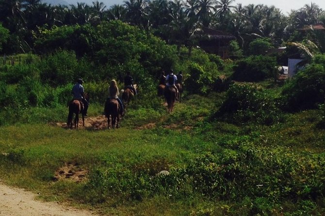 Horseback Riding on the Beach - Key Highlights Worth Marking on Your Map