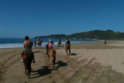 Horseback Riding on the Beach - Safety First: How the Guides Set You Up on the Right Horse