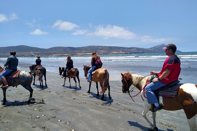 Horseback Riding on the Beach from Ensenada - The Ride Itself: What 1.5 Hours Means on Sand and Shore