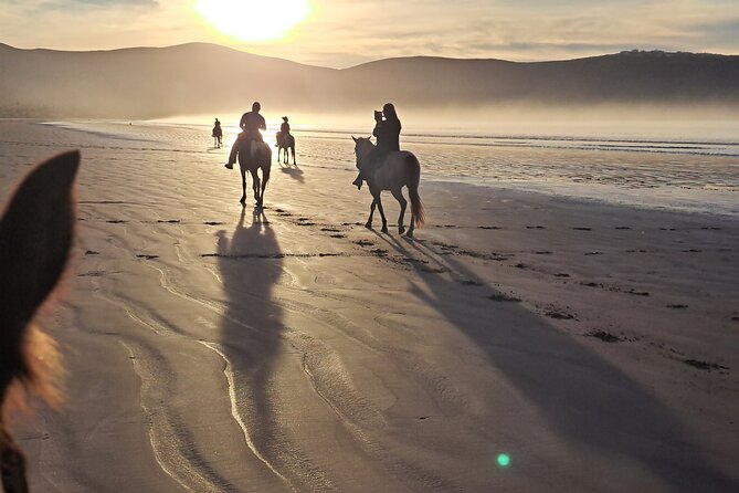 Horseback Riding on the Beach from Ensenada - Horses, Guidance, and Safety: Crystal and Alex Handle the Flow