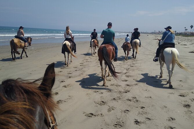Horseback Riding on the Beach from Ensenada - Helmets and Weight Limits: Know the Boundaries Up Front
