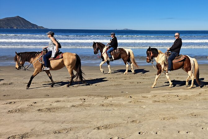 Horseback Riding on the Beach from Ensenada - Price and Value: Is $95 Worth It?
