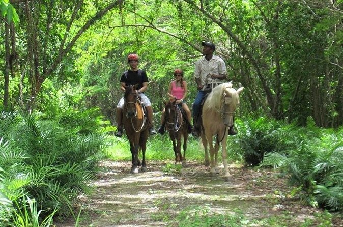 Horseback Riding on the Beach in Punta Cana (One Hour) - Your Guide and Safety: What the Included Gear Means for You