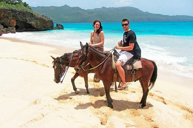 Horseback Riding on the Beach in Punta Cana (One Hour) - Pace, Group Size, and the Type of Experience You’ll Actually Get