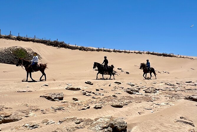 Horseback Riding On The Beach Of Essaouira - Following the route: argan forests, dunes, then the beach