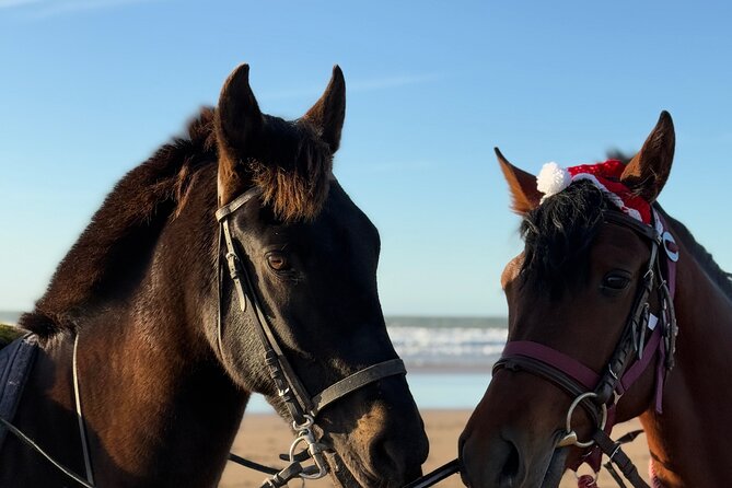 Horseback Riding On The Beach Of Essaouira - The All-Levels Lesson Style (and why it matters)