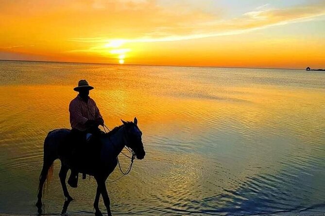 Horseback Riding on the Beaches of Holbox - Key Highlights You’ll Care About