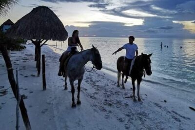 Horseback Riding on the Beaches of Holbox - Getting Started at Los Potrillos (and What to Expect First)