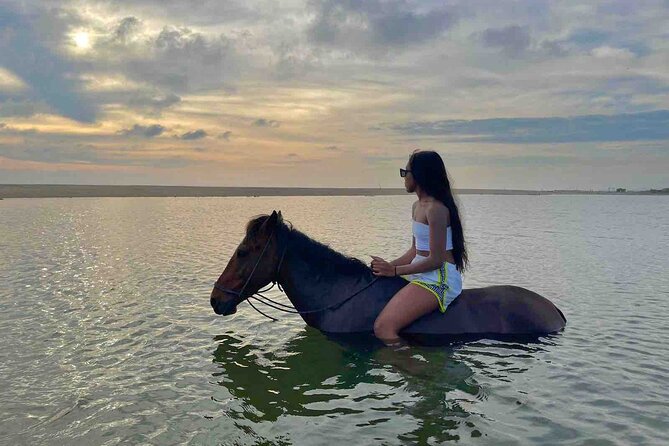 Horseback Riding on the Beaches of Holbox - Price Value: Is $80.60 Worth It?