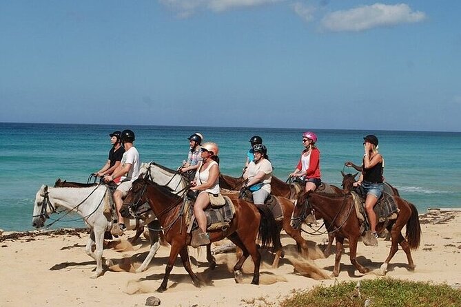 Horseback Riding on the Beaches of Punta Cana - Key Things to Know Before You Go