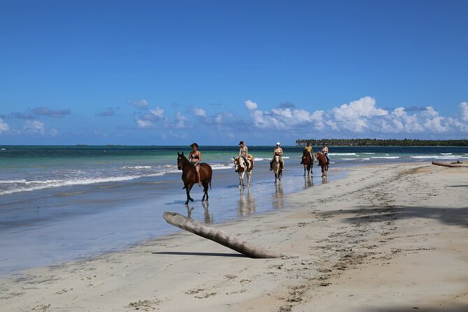 Horseback Riding on the Beaches of Punta Cana - How the Guides Match You to the Right Horse