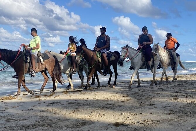 Horseback Riding on the Beaches of Punta Cana - The Macao Beach Stretch: What You’ll Do for About One Hour