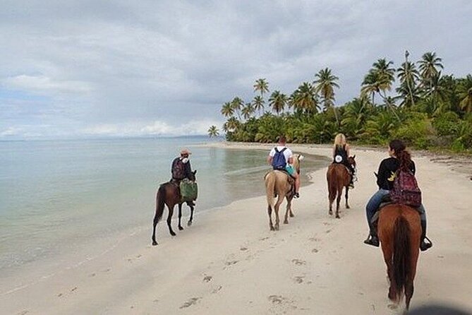 Horseback Riding on the Beaches of Punta Cana - Who This Tour Fits Best (And Who Might Want to Skip)