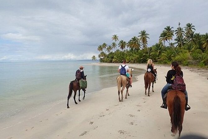 Horseback Riding on the Beaches of Punta Cana - Group Size: Why a Max of 100 Matters for Your Experience