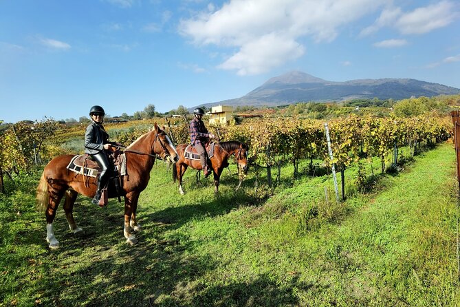 Horseback Riding on Vesuvius - From Pompeii to Vesuvius: what this outing is really like