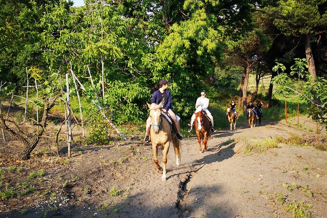 Horseback Riding on Vesuvius - What to wear and plan for (so your ride feels easy)