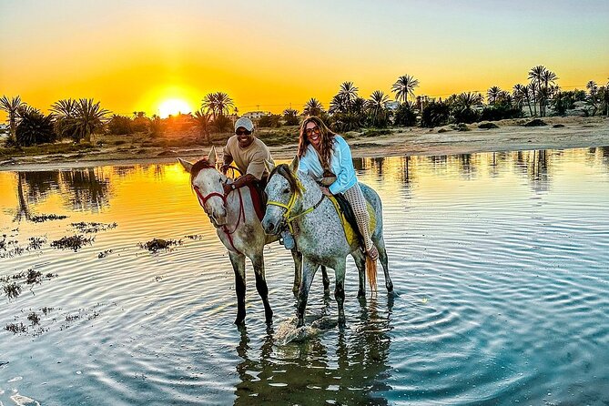 Horseback riding or camel at sunset in Djerba - Key Things I’d Pay Attention To