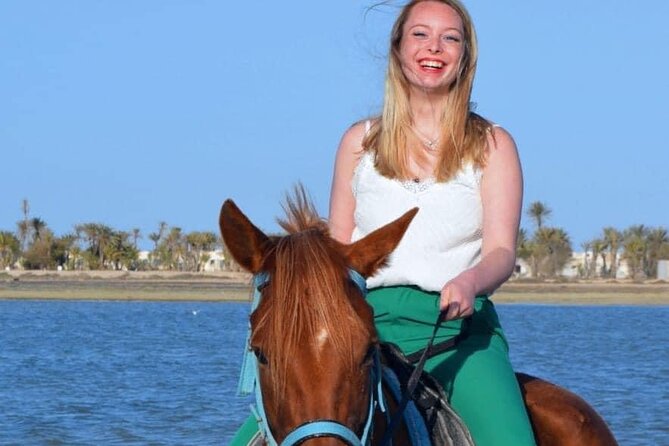 Horseback riding or camel at sunset in Djerba - Choosing Horse or Camel on Djerba’s Shore