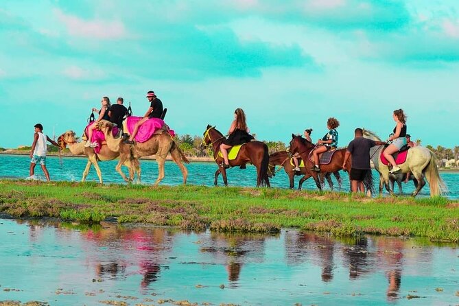 Horseback riding or camel at sunset in Djerba - Who This Tour Suits Best (and Who Might Want Another Option)
