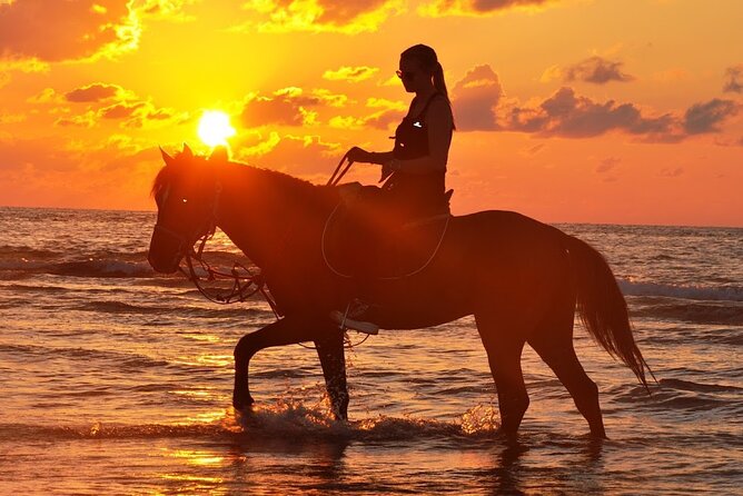 Horseback riding or camel at sunset in Djerba - Meeting at Hôtel Dar el Manara and Getting Started