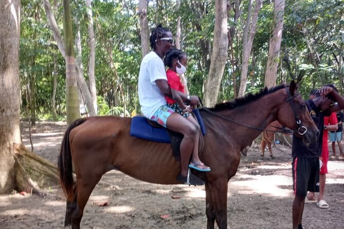 Horseback Riding plus Dunns River Falls Combo Private Tour - Price and value: what you’re paying for at $190 per person