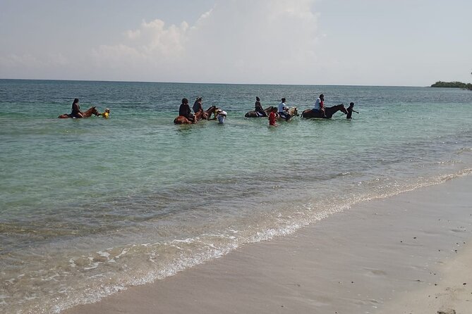 Horseback Riding plus Dunns River Falls Combo Private Tour - Who this tour fits best (and who should pass)