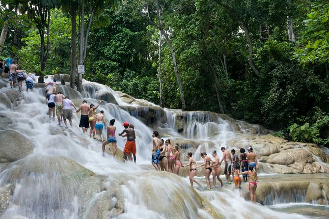 Horseback Riding plus Dunns River Falls Combo Private Tour - Should you book this Montego Bay horseback and Dunn’s River combo?