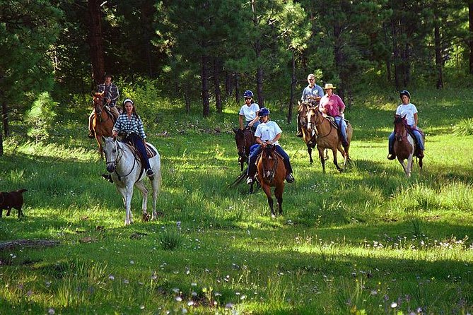 Horseback Riding Plus Tour to Sacsayhuaman, Quenqo, Puka Pucara and Tambomachay - Why Horseback Beats Another Van Tour from Cusco