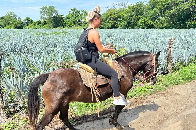 Horseback Riding & Swim: Tequila Tasting, BBQ & Margaritas - Mexican BBQ lunch and the salsa moment you’ll remember