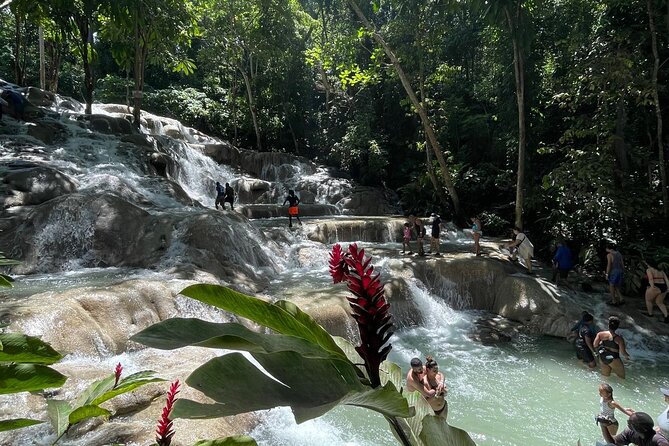 Horseback Riding/Swimming and Dunn's River from Ocho Rios - Who This Tour Is Best For (And Who Might Want a Different Plan)
