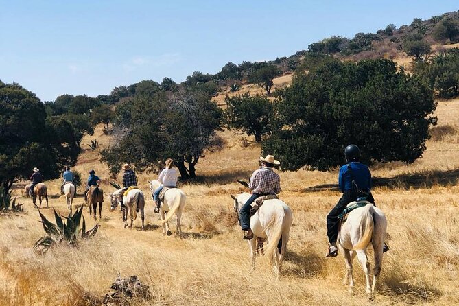 Horseback Riding through Mexican Haciendas - Key things to know before you go