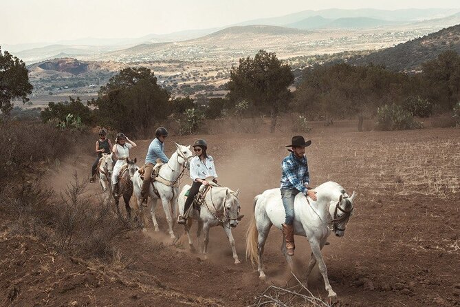 Horseback Riding through Mexican Haciendas - 2.5 Hours Horseback Riding: What the Ride Feels Like