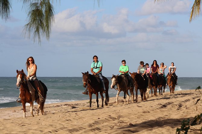 Horseback Riding through Secluded Beaches and Tropical Forests - Key points before you go