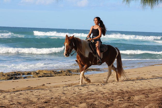 Horseback Riding through Secluded Beaches and Tropical Forests - Where the Ride Begins in Isabela: Meeting Point and What “Off the Beaten Path” Means