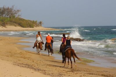 Horseback Riding through Secluded Beaches and Tropical Forests - Two Departure Times That Change the Whole Feel: 9:00 am vs 3:30 pm