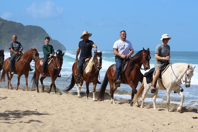 Horseback Riding through Secluded Beaches and Tropical Forests - Tropical Trail Rides Segment: How the Trail Works and What You’ll Notice
