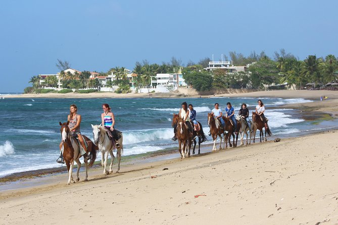 Horseback Riding through Secluded Beaches and Tropical Forests - Shacks Beach Stop: Your First Coastal Look and Where It Fits