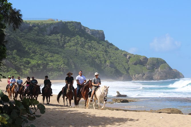 Horseback Riding through Secluded Beaches and Tropical Forests - Survival Beach with Cliff Caves: The 15-Minute Break That Changes Everything